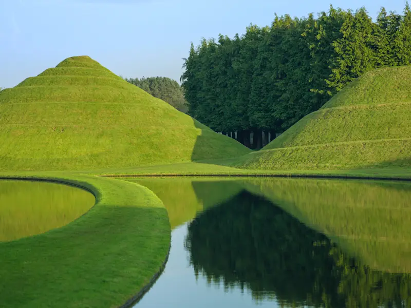 The Garden of Cosmic Speculation