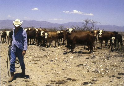 Donald Judd. Photo circa 1990.