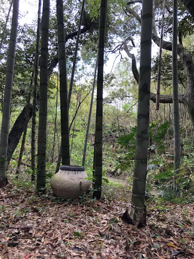 Kazunori Hamana's studio
