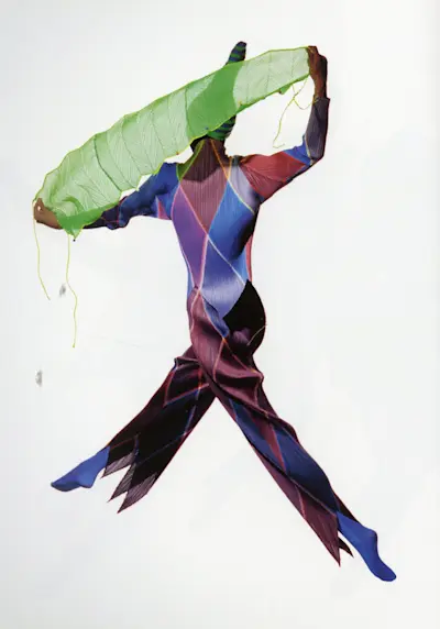 PLEATS PLEASE photography by Francis Giacobetti