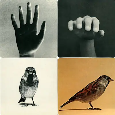 Images of reality 1977