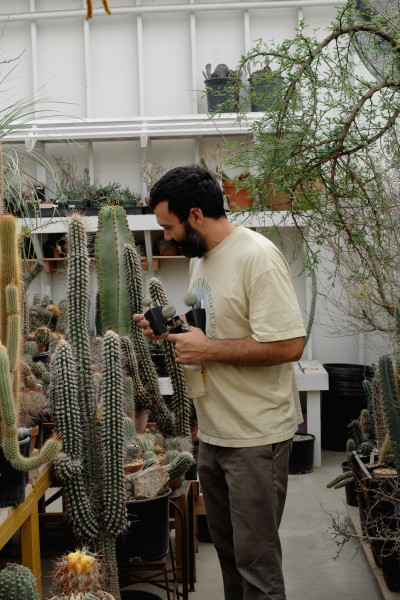 Carlos Cactus store