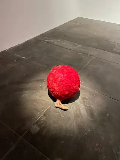 Lygia Pape at Hauser & Wirth Los Angeles, Exhibition Photo, April 2021