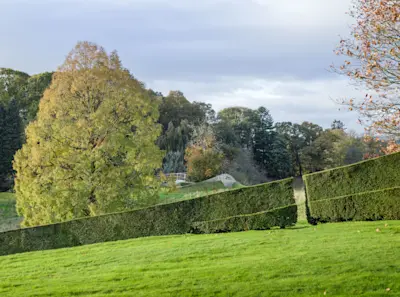 Land Dragon