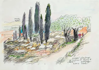 Ancient plantings near Jericho, 1979 Photocopy, ink, and watercolor on paper