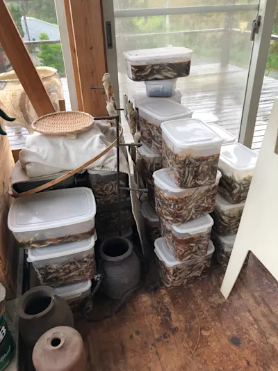 Kazunori Hamana's studio