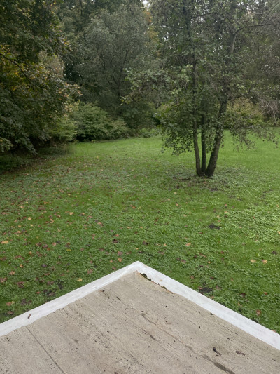 The floor plate was built well above the 100 year watermark yet flooding has ravaged the home over the years.