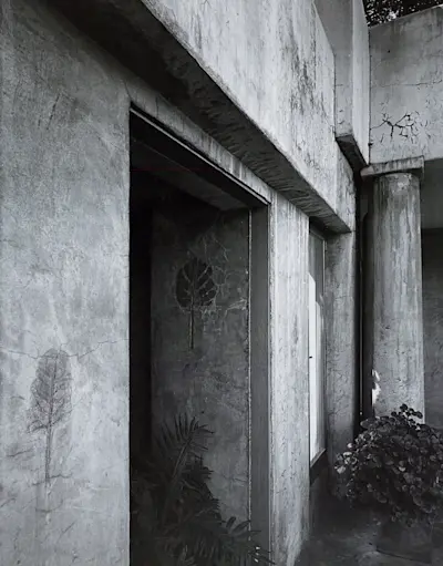Plant impression in Courtyard at Chauncy Clarke House in Santa Fe Springs. Courtesy of Gibbs Smith Books