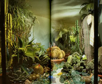 Un Jardin en Méditarranée, Summer 2003