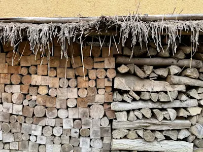 Wood pile at Takyo Abeke