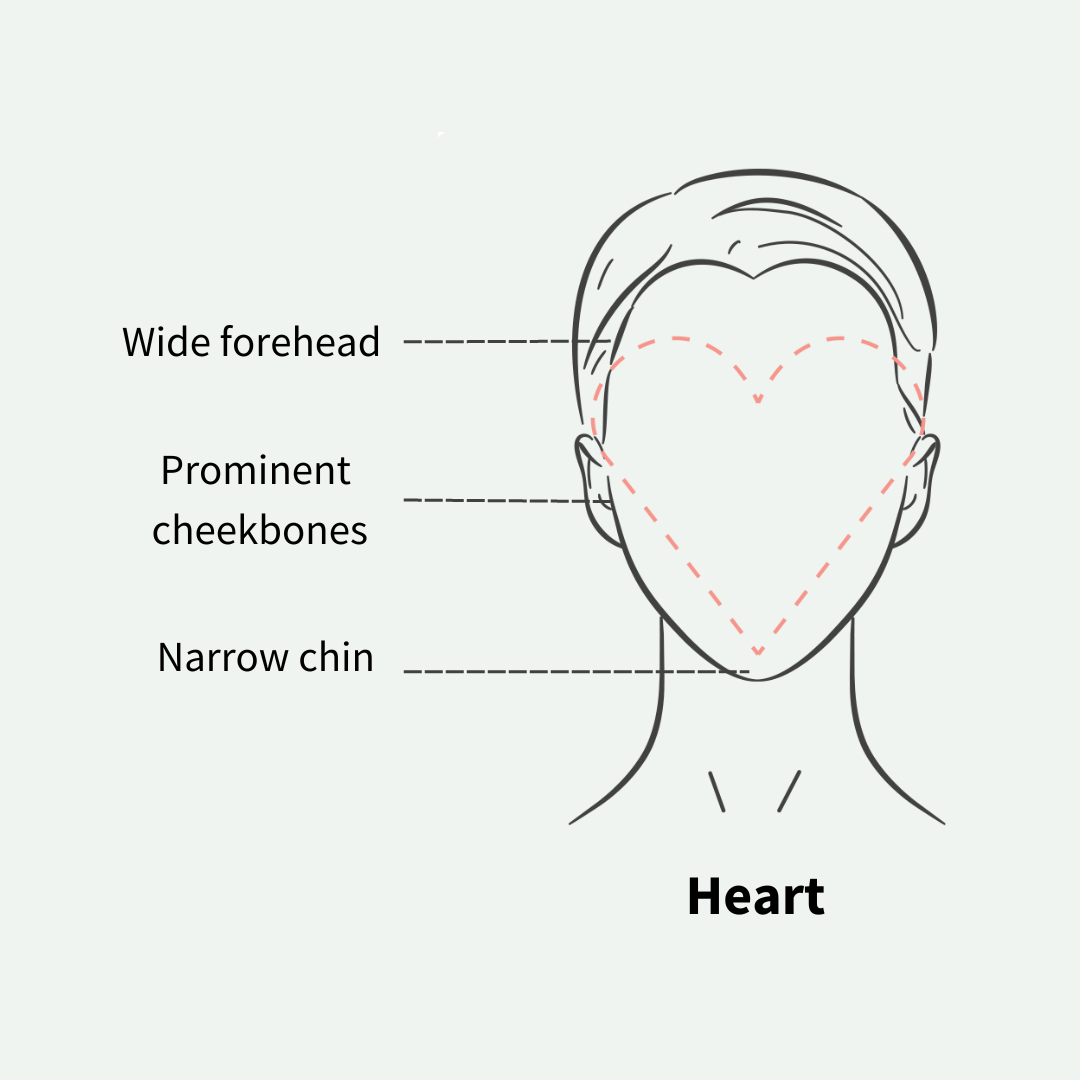 Diagram showing a heart-shaped face 