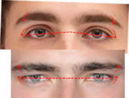 Understanding Hunter Eyes A Complete Guide Mewing App Understanding Hunter Eyes A Complete Guide Mewing App