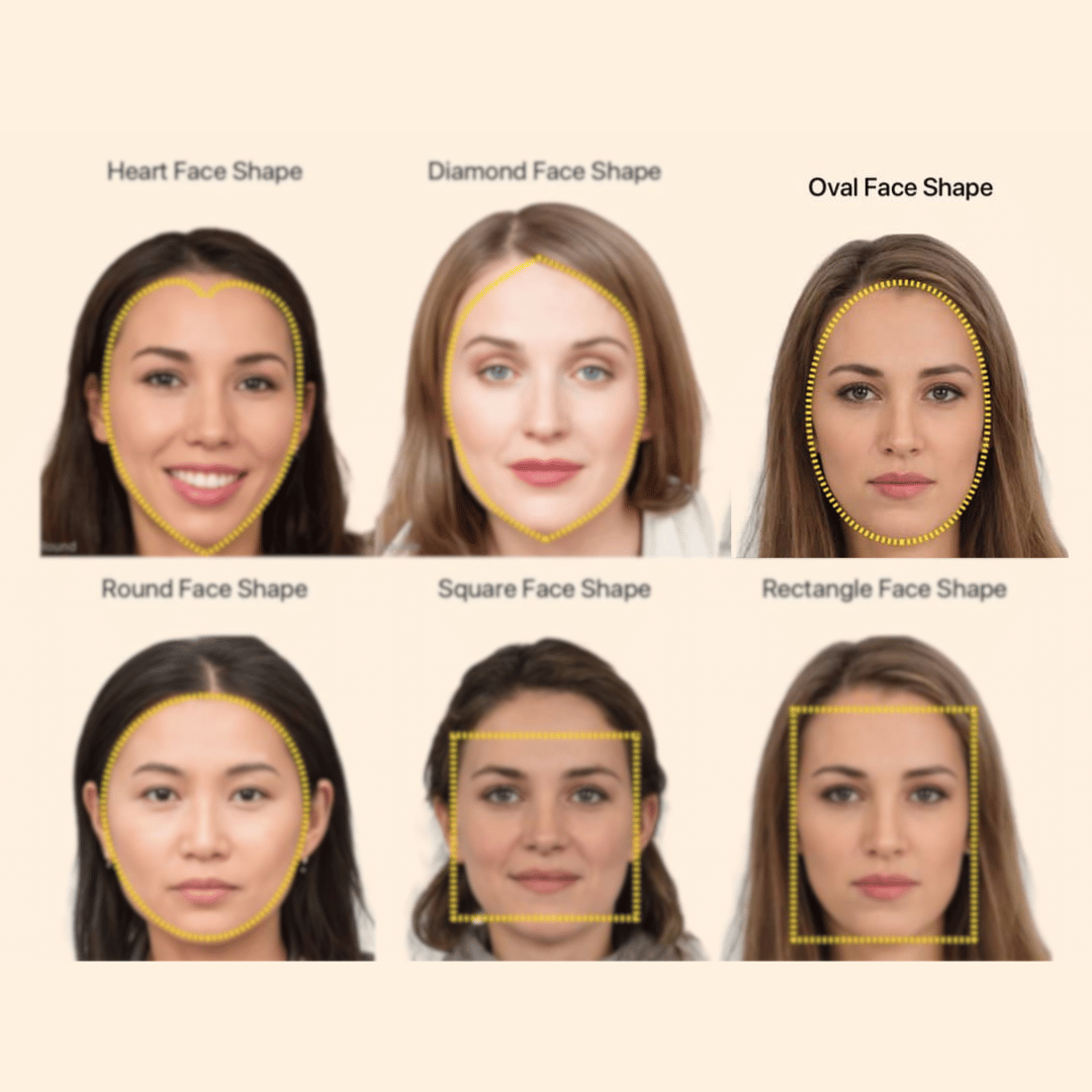 Diagram of various face shapes highlighting the oval face shape