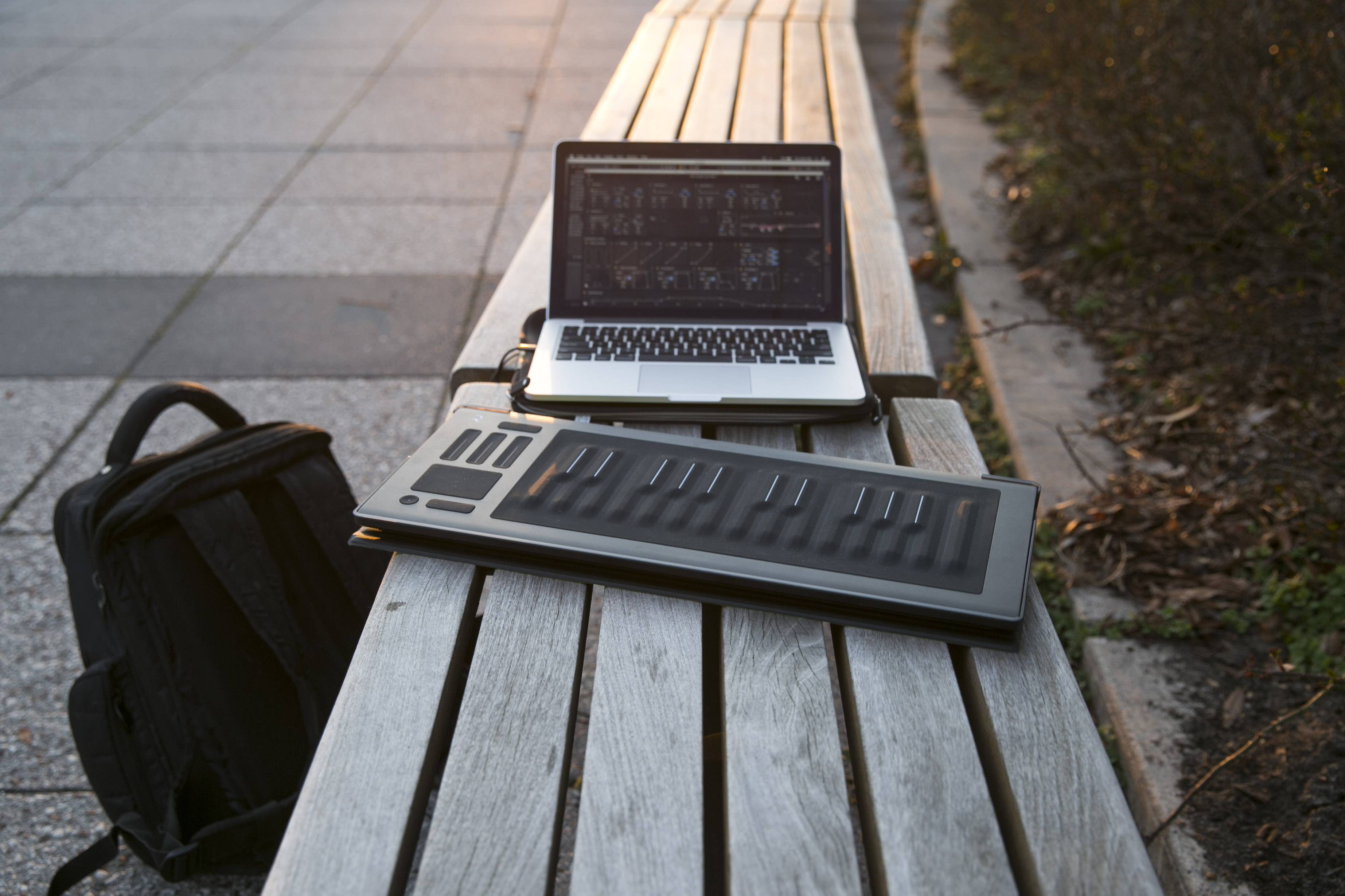 ROLI Seaboard RISE 49 Softcase for 49 key model Instrument Case ROLI001959