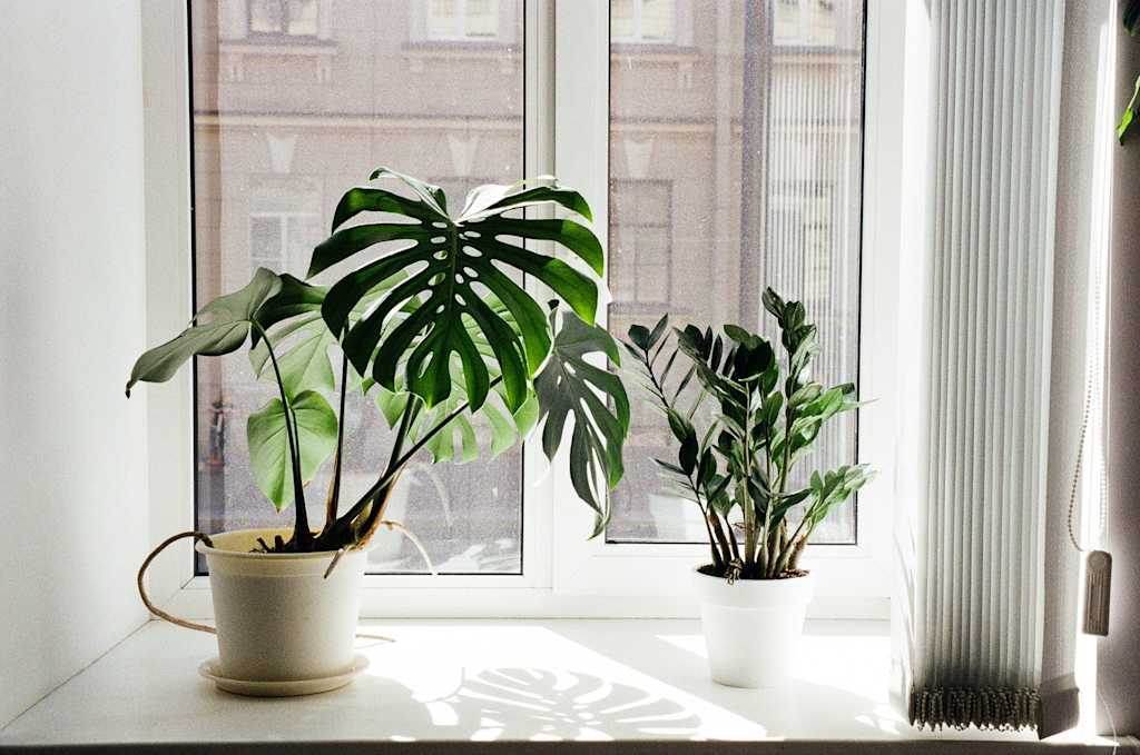 Qualité de l'air intérieur : comment respirer un air plus sain sans augmenter sa facture d'énergie ? Qualité de l'air intérieur : comment respirer un air plus sain sans augmenter sa facture d'énergie ?