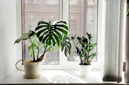Qualité de l'air intérieur : comment respirer un air plus sain sans augmenter sa facture d'énergie ? Qualité de l'air intérieur : comment respirer un air plus sain sans augmenter sa facture d'énergie ?