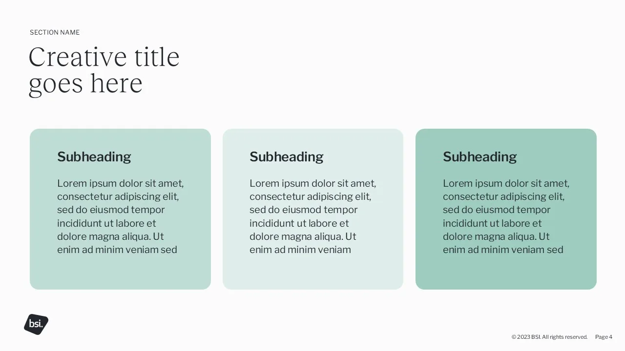 BSI Slide 6