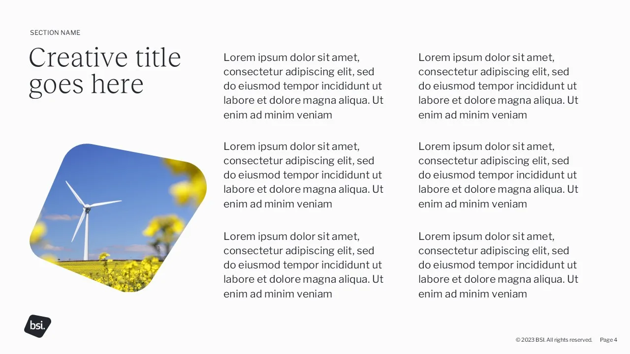 BSI Slide 8