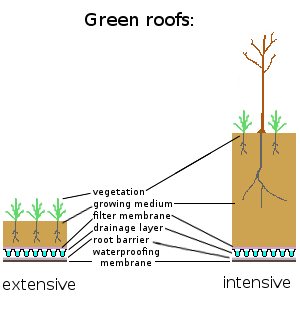 telhado verde extensivo-vs-intensivo