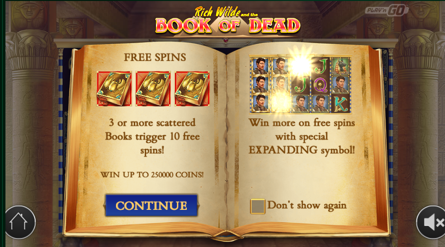 Спин вин. Книга мертвых слоты. Book of Dead Slot Bonus. Слот book of Dead провайдер. Выигрыш в book of Dead фото с телефона.