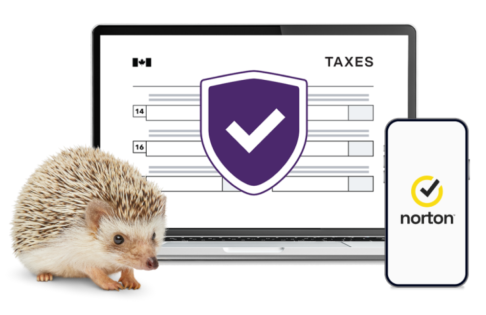 A hedgehog standing next to a laptop and smartphone. The device screens display the TELUS Online Security and Norton logos.