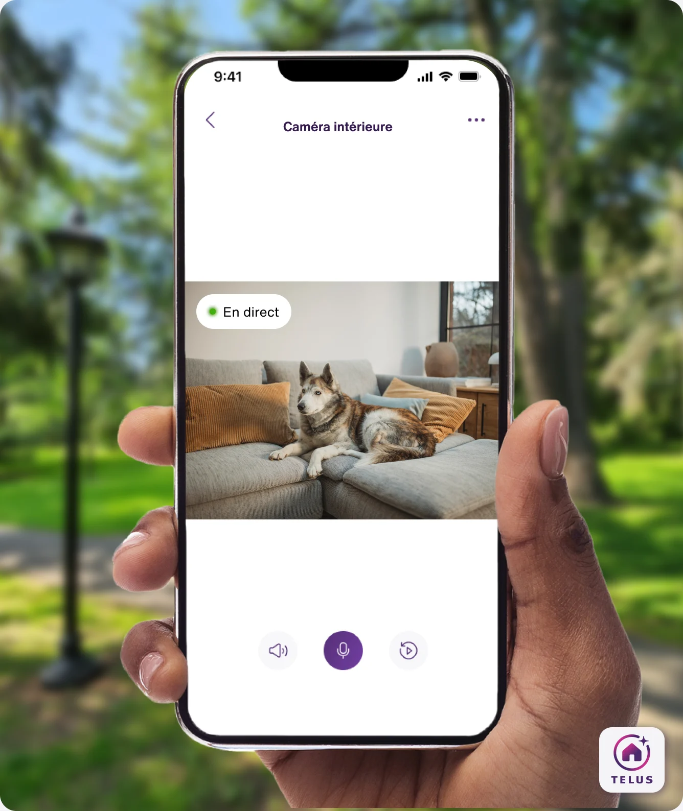 Une main tient TELUS MC+, qui montre une grand-mère disposant des tranches de gâteau sur des assiettes dans la cuisine, du point de vue de la caméra intérieure TELUS.