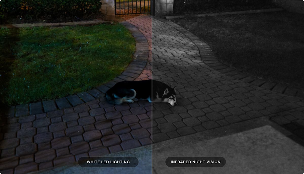 A dog lying in the yard is seen with white LED lighting and Infared Night Vision.
