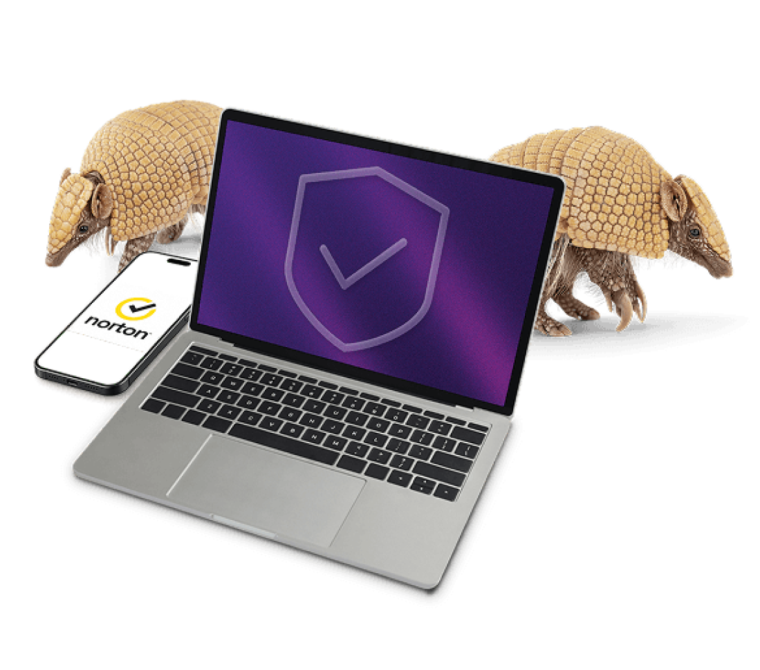Un ordinateur portatif et un téléphone intelligent montre le logo du bouclier antivirus de Norton entouré de deux tatous cuirassés.