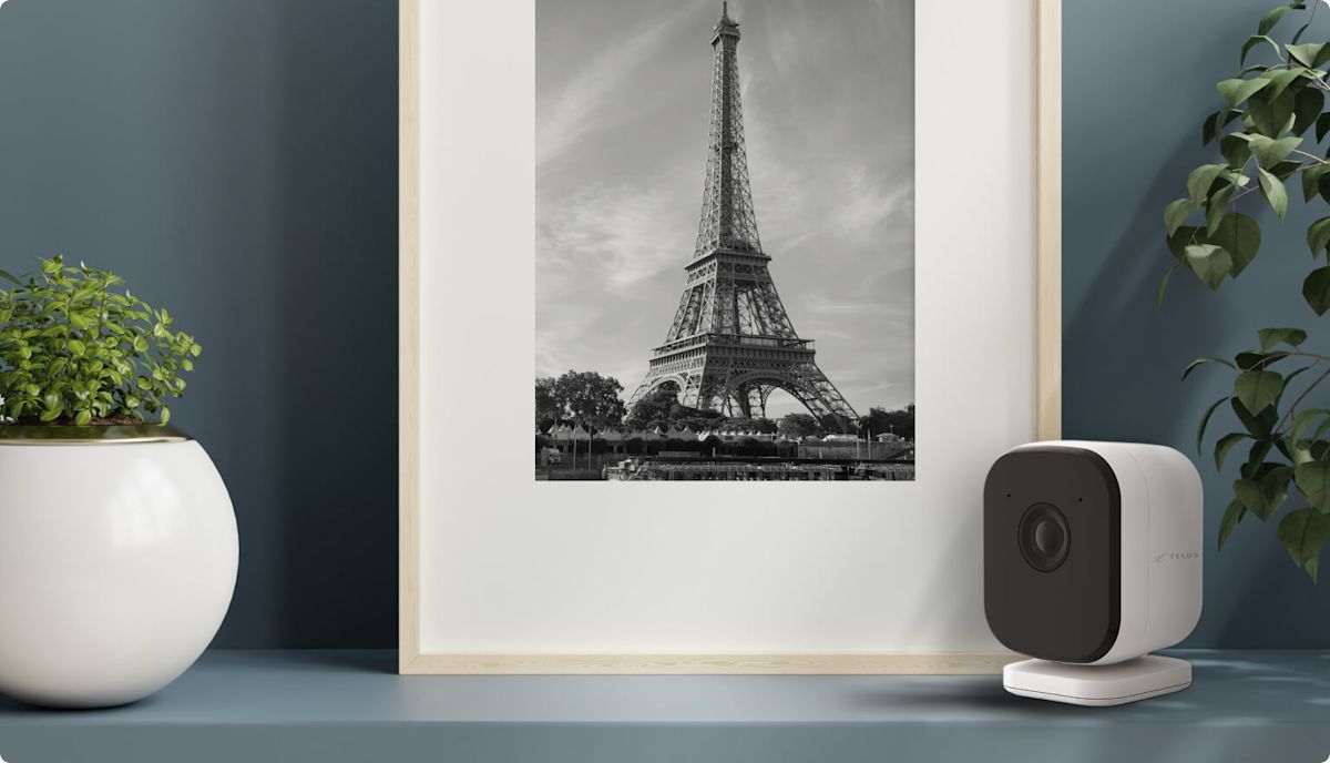 A TELUS Indoor Camera placed beside a small plant and framed image of the Eiffel Tower.