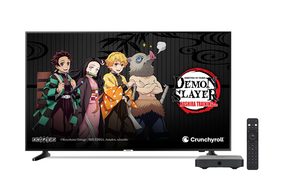 A TV screen showing the Demon Slayer.