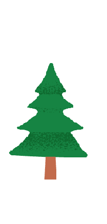 Pine tree