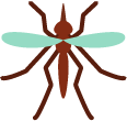 Mosquito