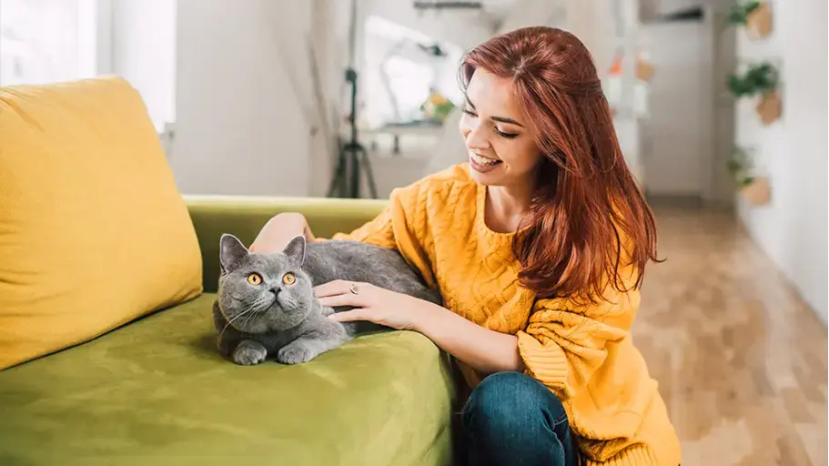 Woman sitting inside petting a gray cat laying on the couch