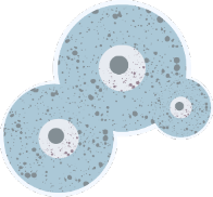 Illustration of aspergillus spores