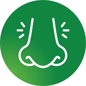 Zyrtec Allergy relief + nasal decongestant Icon