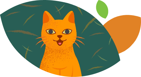 Orange cat