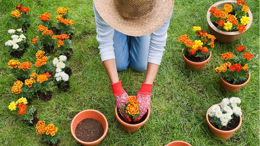 A person outside gardening