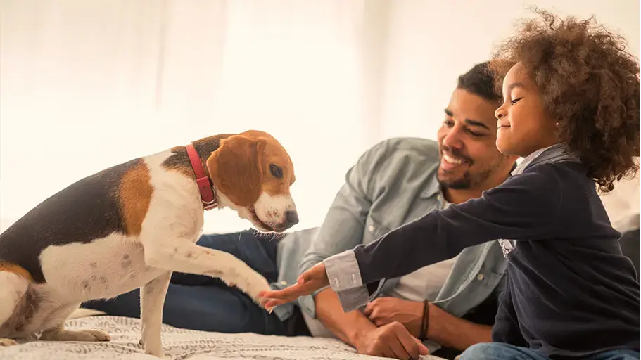 A young girl and a man are sitting together petting a friendly dog.