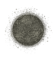 Illustration of a Cladosporium mold spore