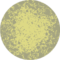 Yellow mold