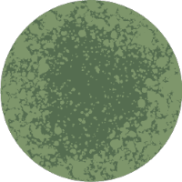 Illustration of a green mold particle