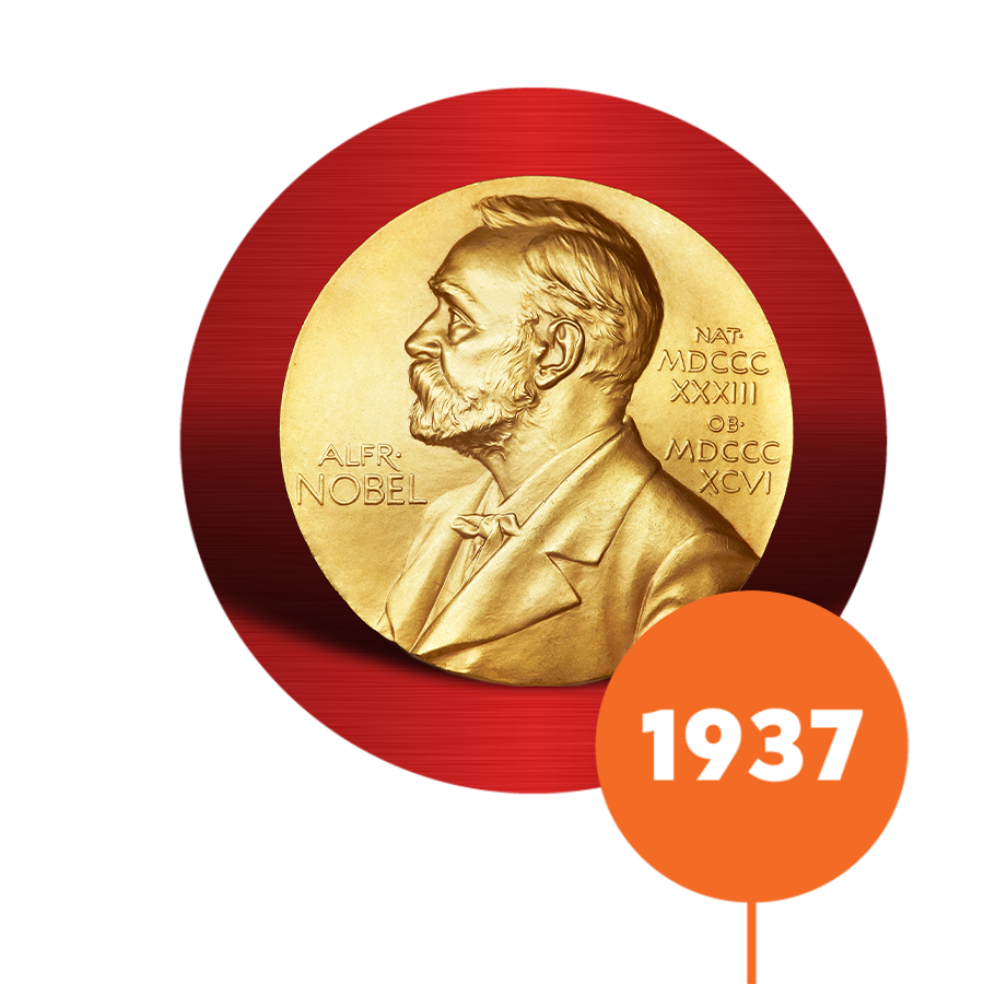 Gyorgyi vince il Premio Nobel per la scoperta della vitamina C​