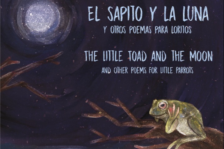 El_sapito_y_la_luna.jpg