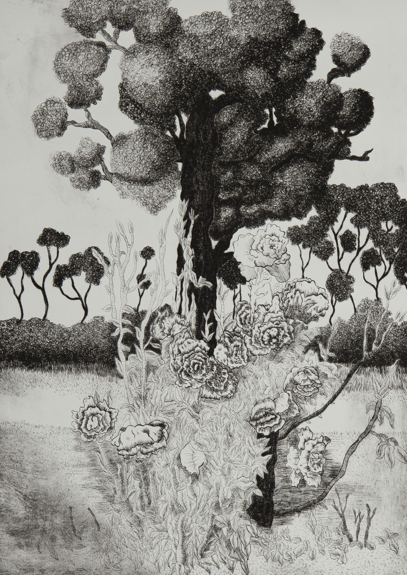 Luna Dannon _Tierra de nadie_ (2023) Punta seca sobre metacrilato. 70 x 50 cm-4.jpg