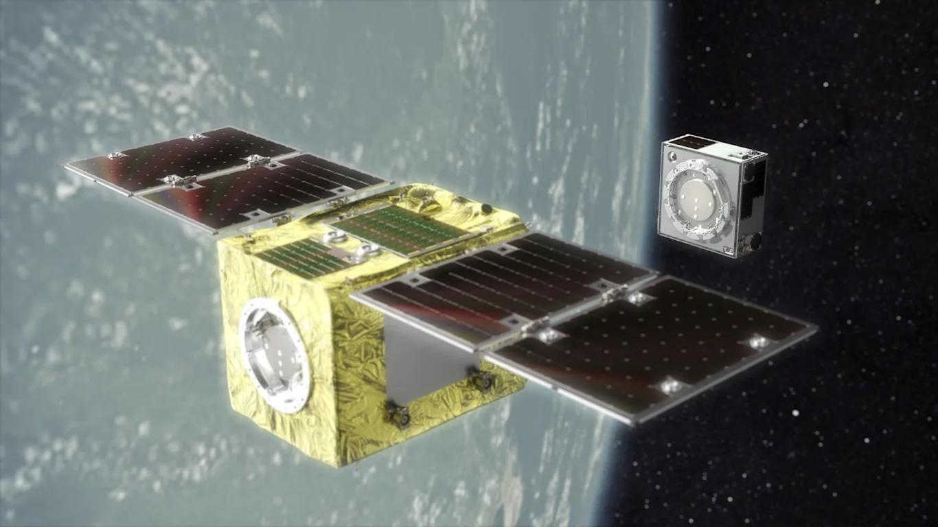 ELSA-d cg 1