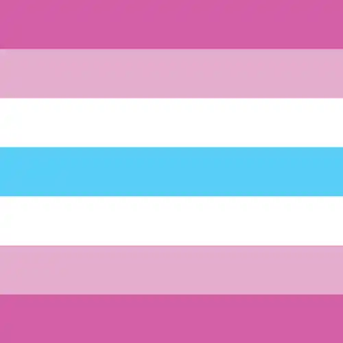 femboy flag