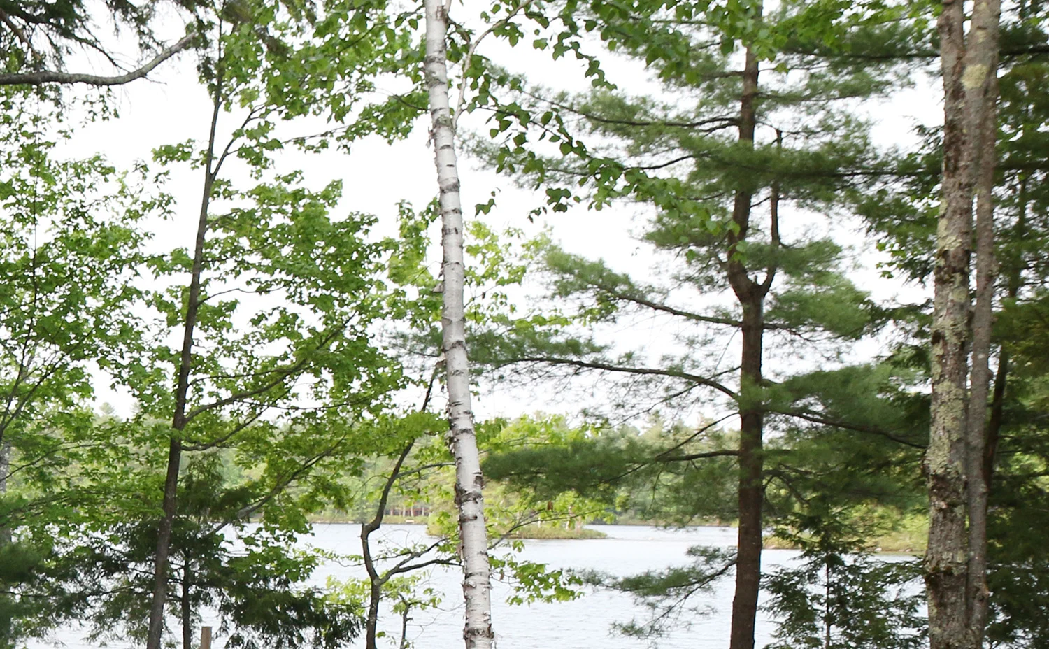 tandem-blog-banner-diabetes-research-support-college-1500x928