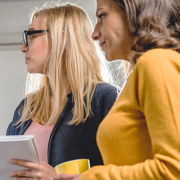 Employees Collaborating