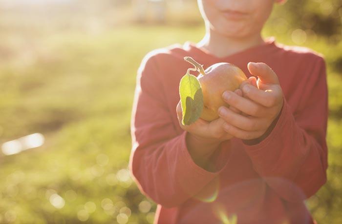 Boy in sun with apple