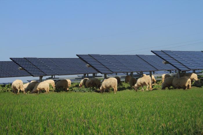 SunPower Sustainability